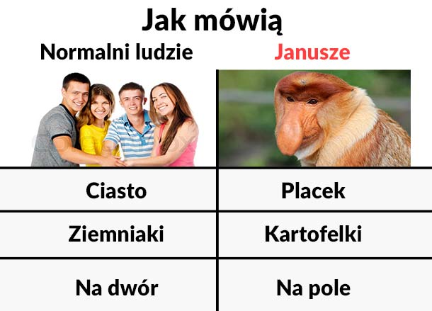 Januszowy słownik 