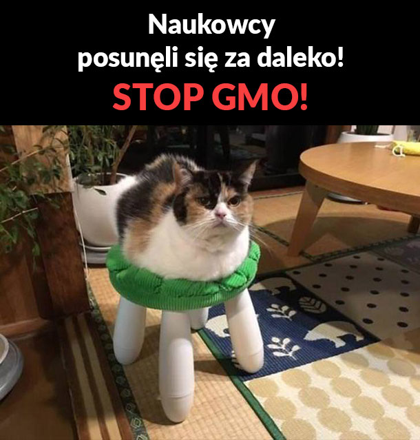 Stop GMO!