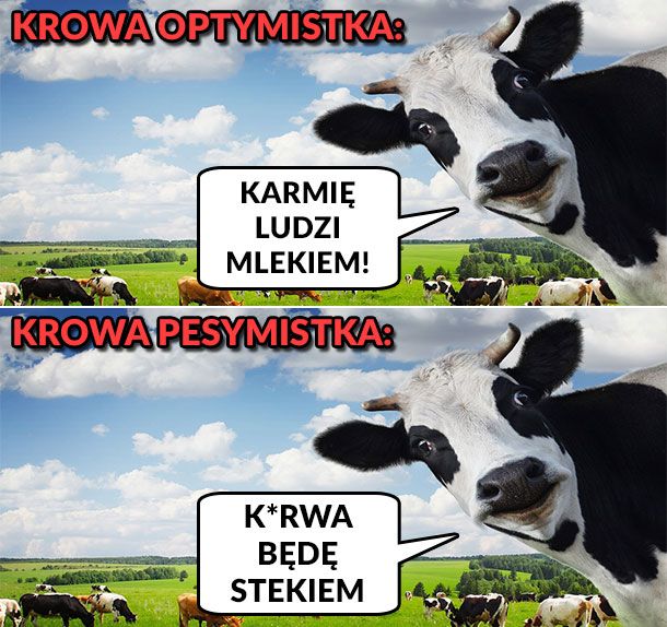 Dwa rodzaje krowy :D